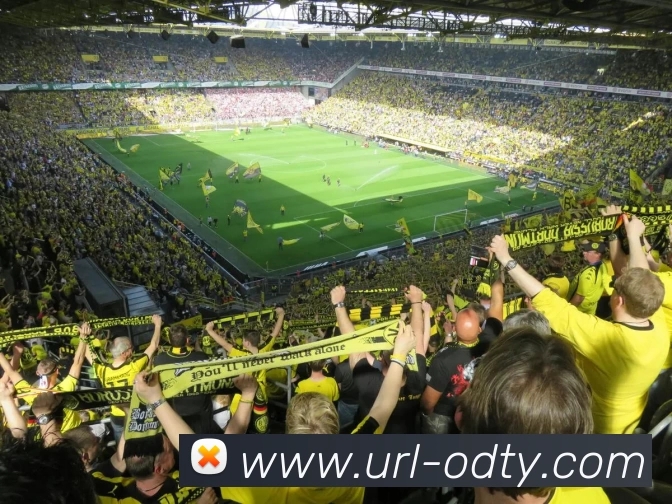 OD体育平台生态图