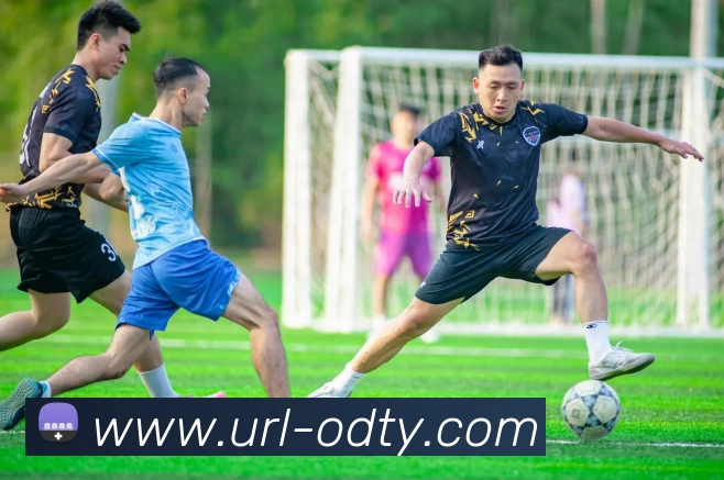 数据防护可视化